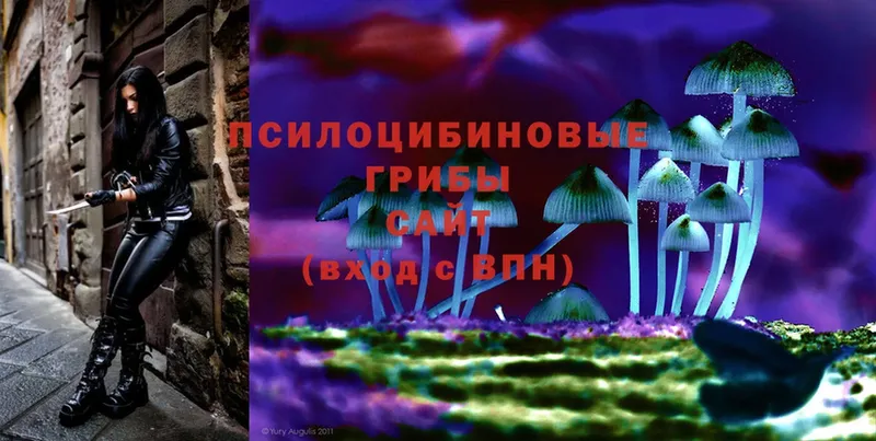 Галлюциногенные грибы MAGIC MUSHROOMS Волоколамск